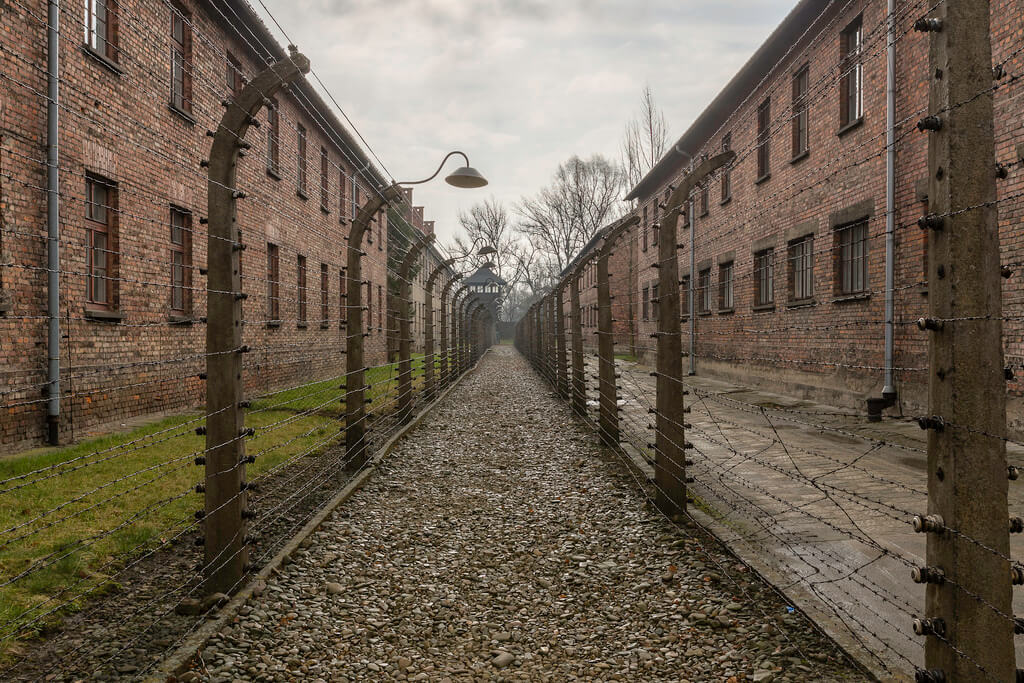 Auschwitz : 