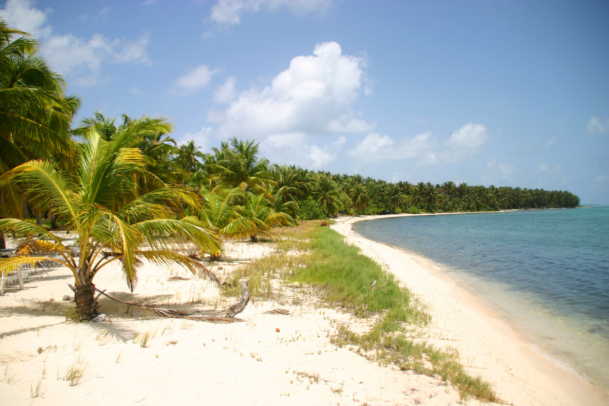 Belize: Plage de Half Moon Caye au Belize