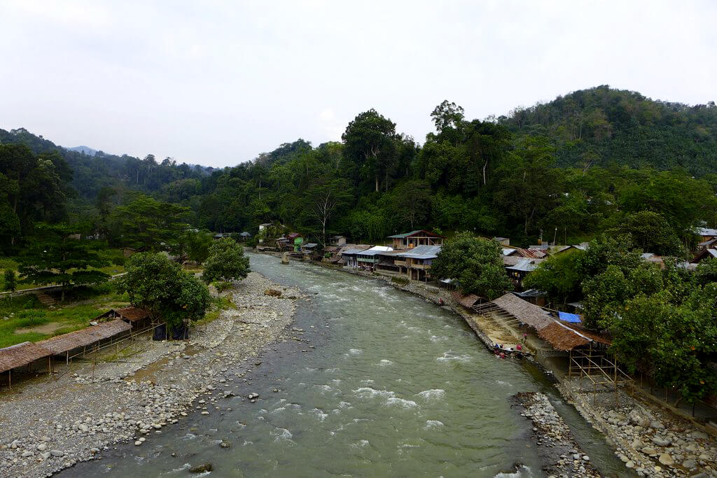 Bukit Lawang : 