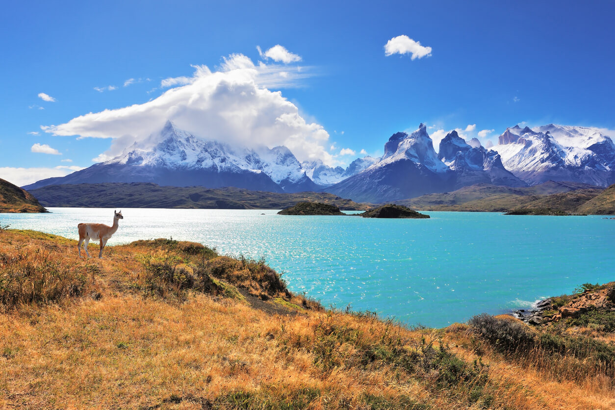 Chili: Lac Pehoe, parc national Torres del Paine dans le sud du Chili