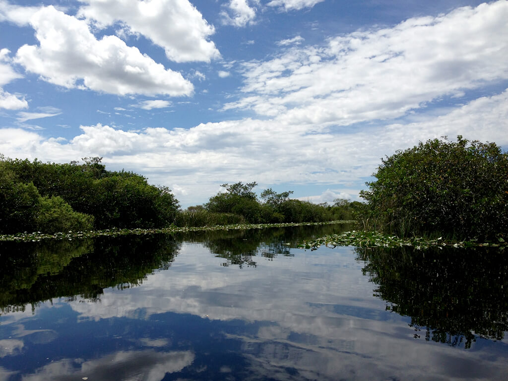 Everglades National Park : Everglades National Park :