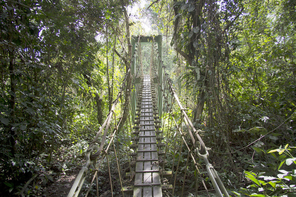 Gunung Mulu National Park : 
