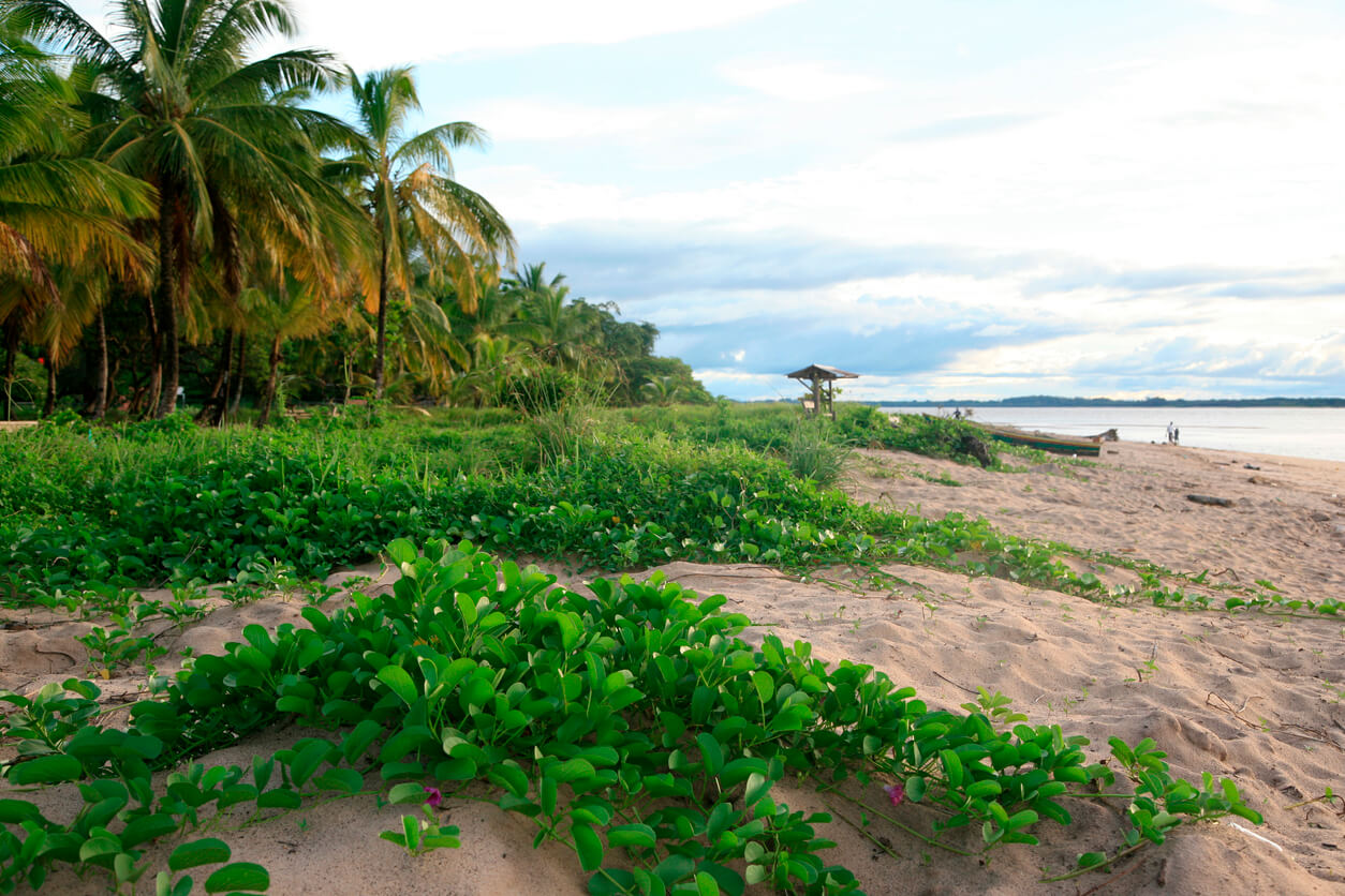 Frans Guyana: Plage des Hattes à Yalimapo, Guyane française