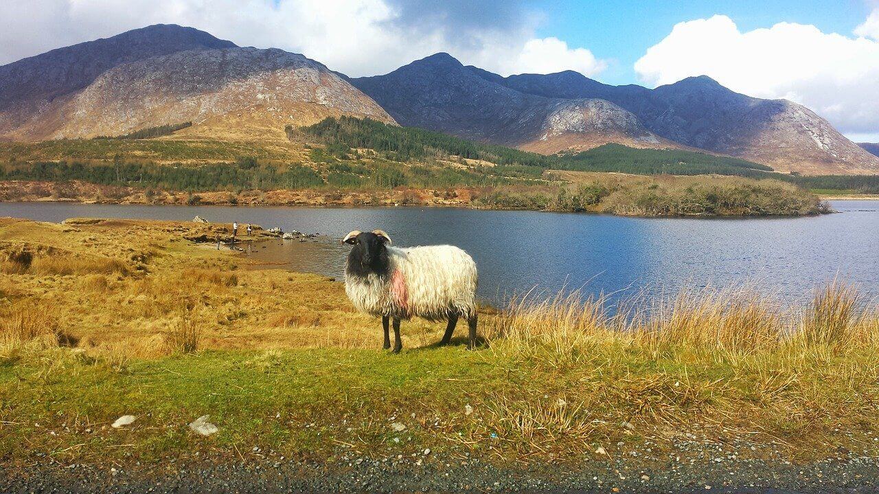 Ierland: Le parc national du Connemara