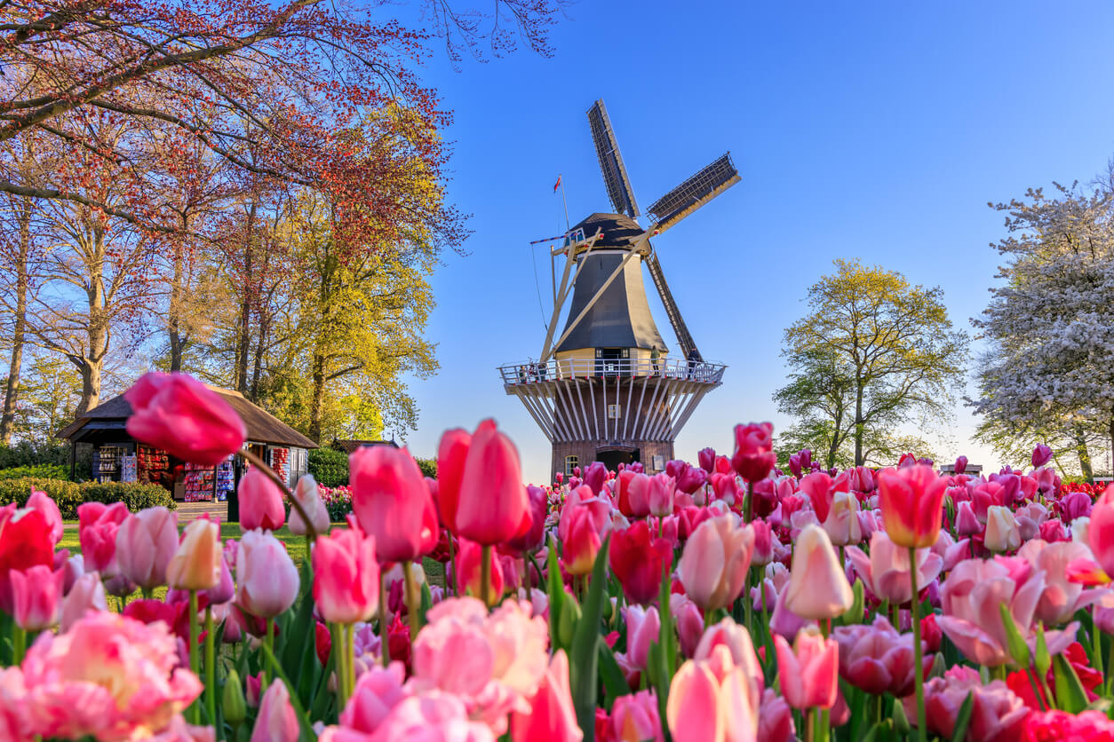 Keukenhof (Stationsweg) : 