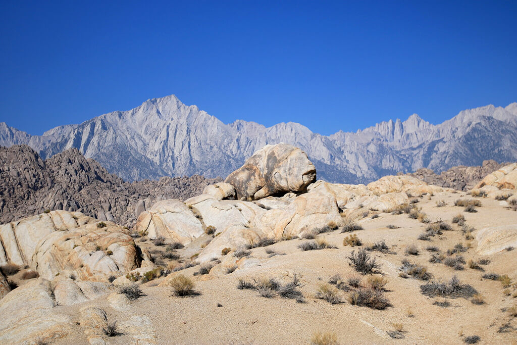Lone Pine : 