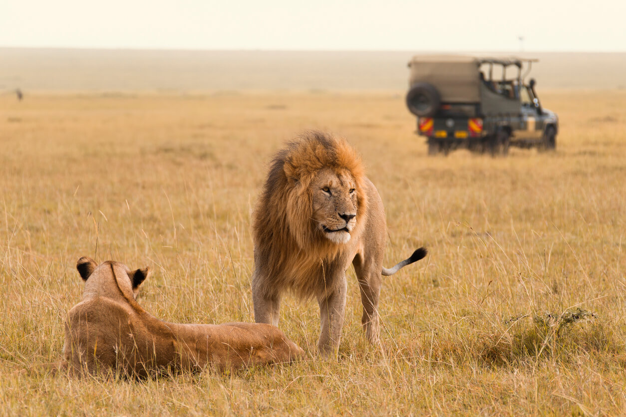 Maasai Mara National Reserve : 