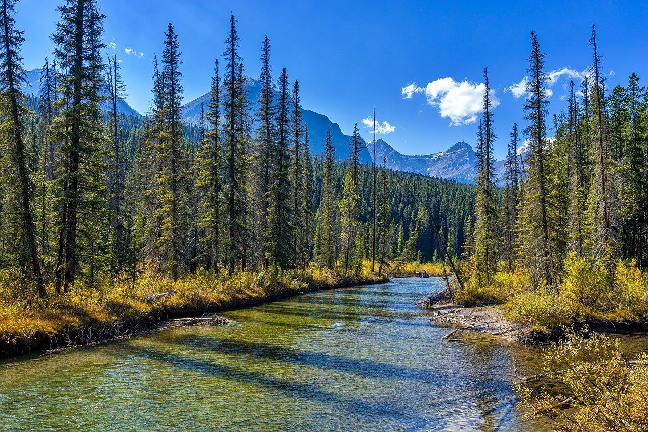 National park Jasper : Le parc national de Jasper National park Jasper : Le parc national de Jasper