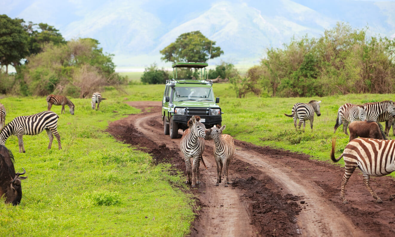 Ngorongoro Conservation Area : La zone de conservation du Ngorongoro