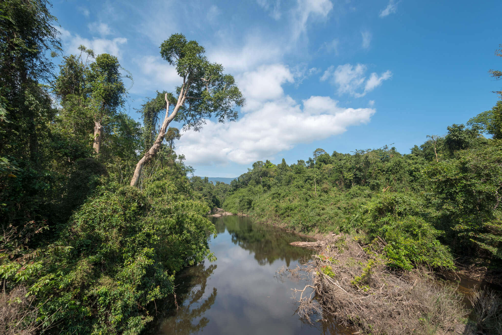 Khao Yai National Park : Parc national Khao Yai (éléphants, animaux…)