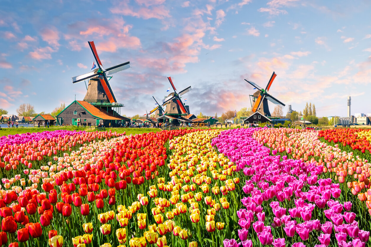 Weer Nederland Augustus 2021 Weer In Nederland Holland In Augustus 2021 Klimaat En Temperatuur