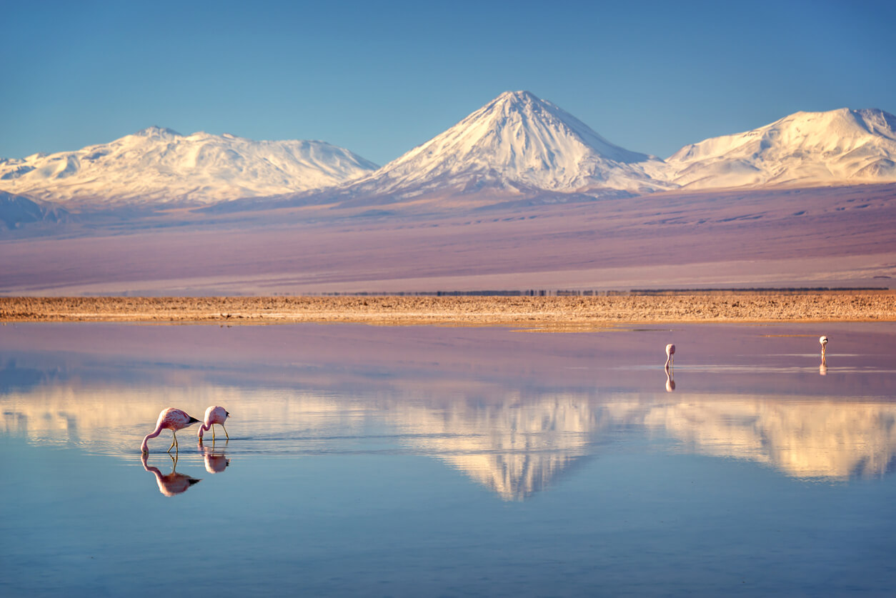 San Pedro de Atacama : Salar de Atacama