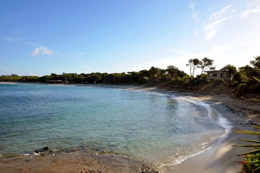 Sant Jordi de ses Salines : Sant Jordi de ses Salines :