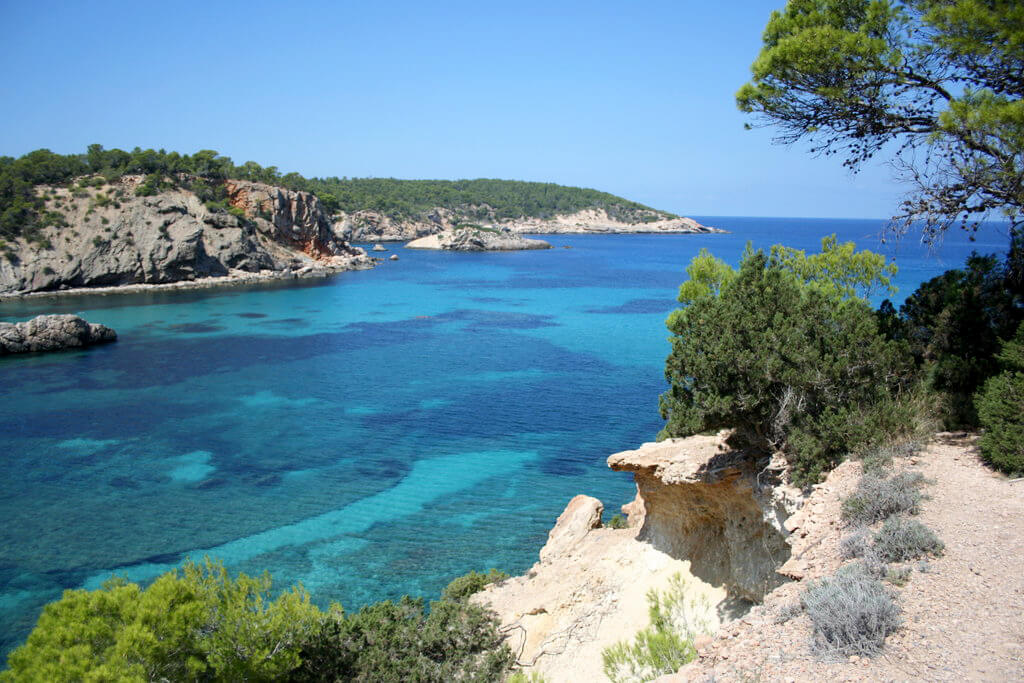 Santa Gertrudis de Fruitera : 