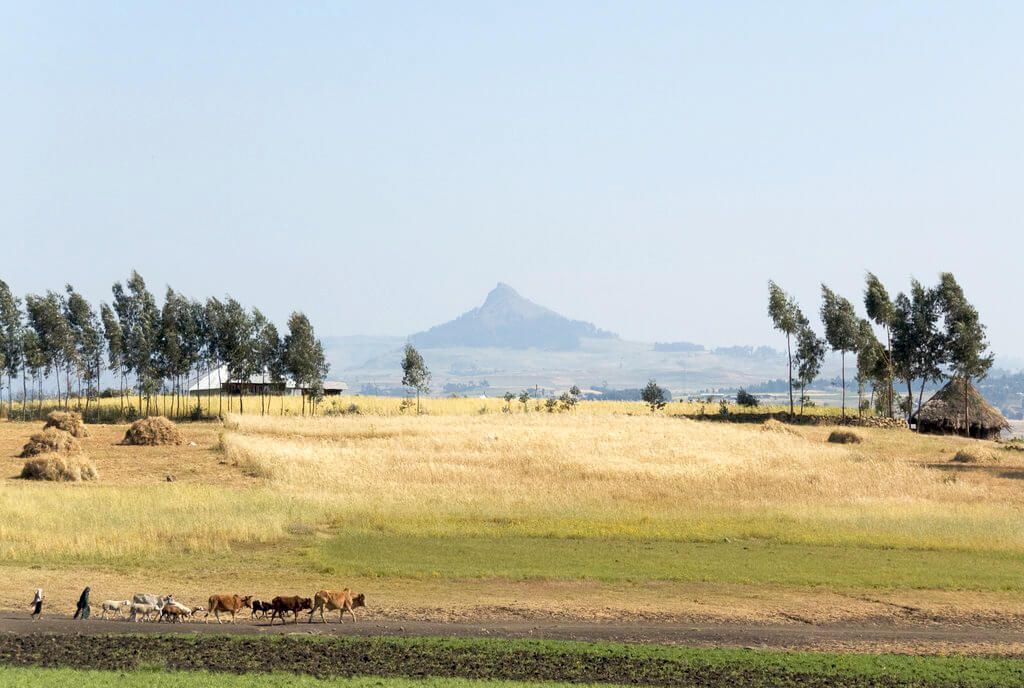 Simien Mountains National Park : 