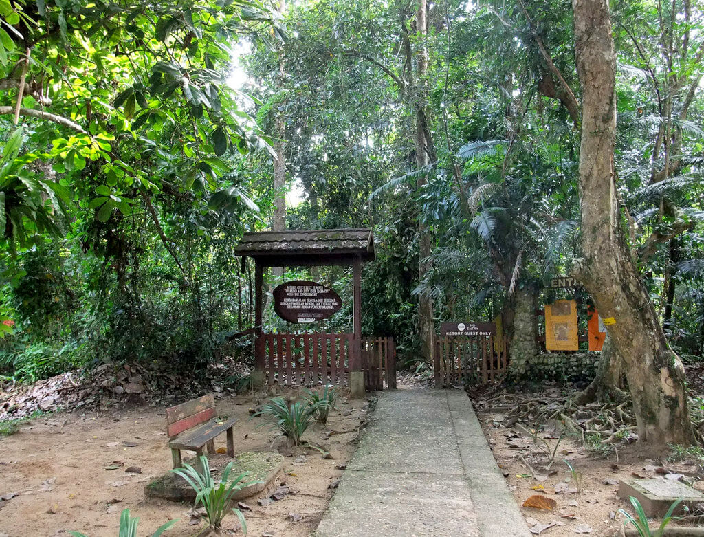 Beste Reistijd National park Taman Negara | Klimaat en Weer. 12 maanden