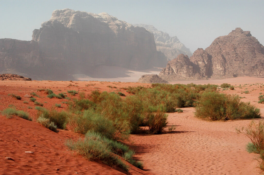 Wadi Rum : Wadi Rum :