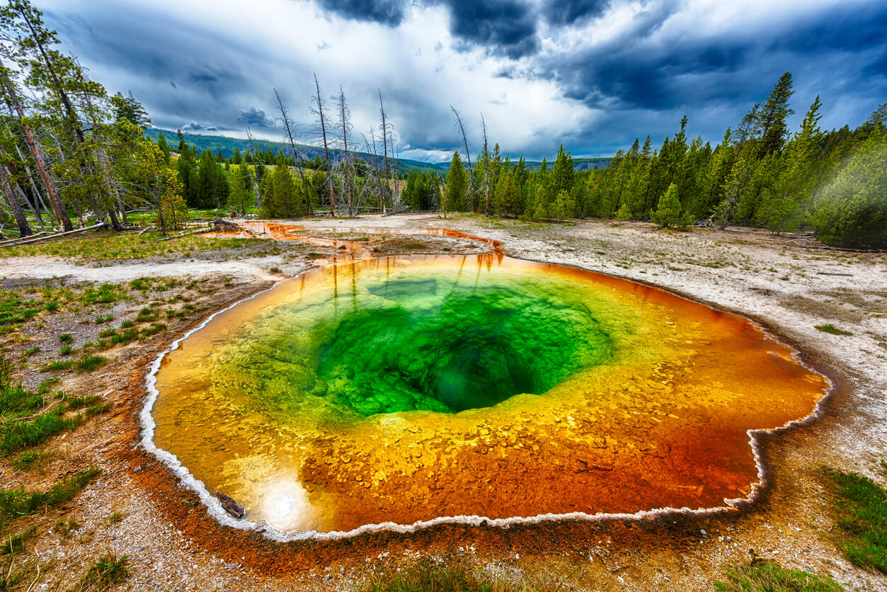 Yellowstone National Park : Yellowstone N.P. (Wyoming)